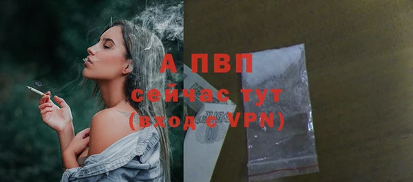 гидра Верхний Тагил