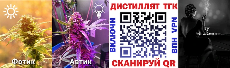 наркотики  Лысково  ТГК гашишное масло 