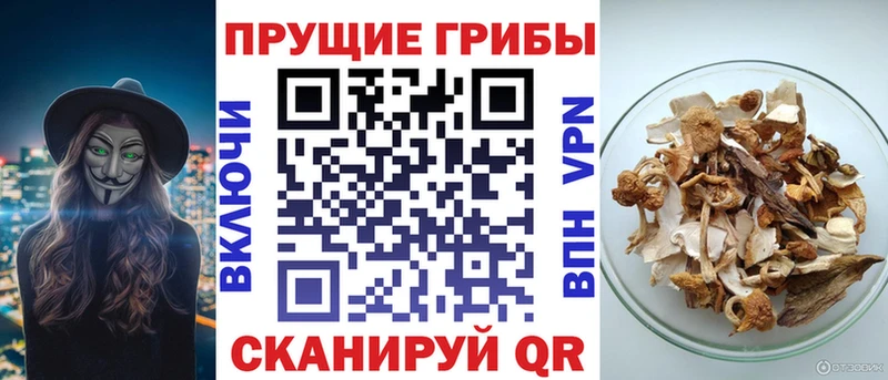 Псилоцибиновые грибы мухоморы  Лысково 
